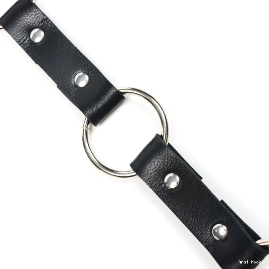 Anal Hooks Kinky Leash and Collar EverydayUse with Hook Anal 5853 0911